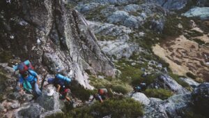 Trekking écologique