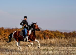 Meilleures balades à cheval